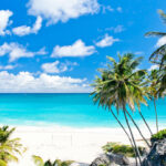 Mittelamerika Karibik Barbados Strand Palmen Meer